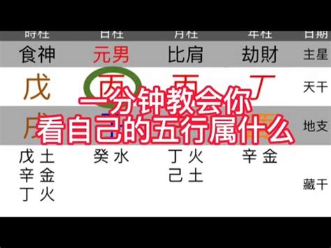 本命屬火|免費生辰八字五行屬性查詢、算命、分析命盤喜用神、喜忌